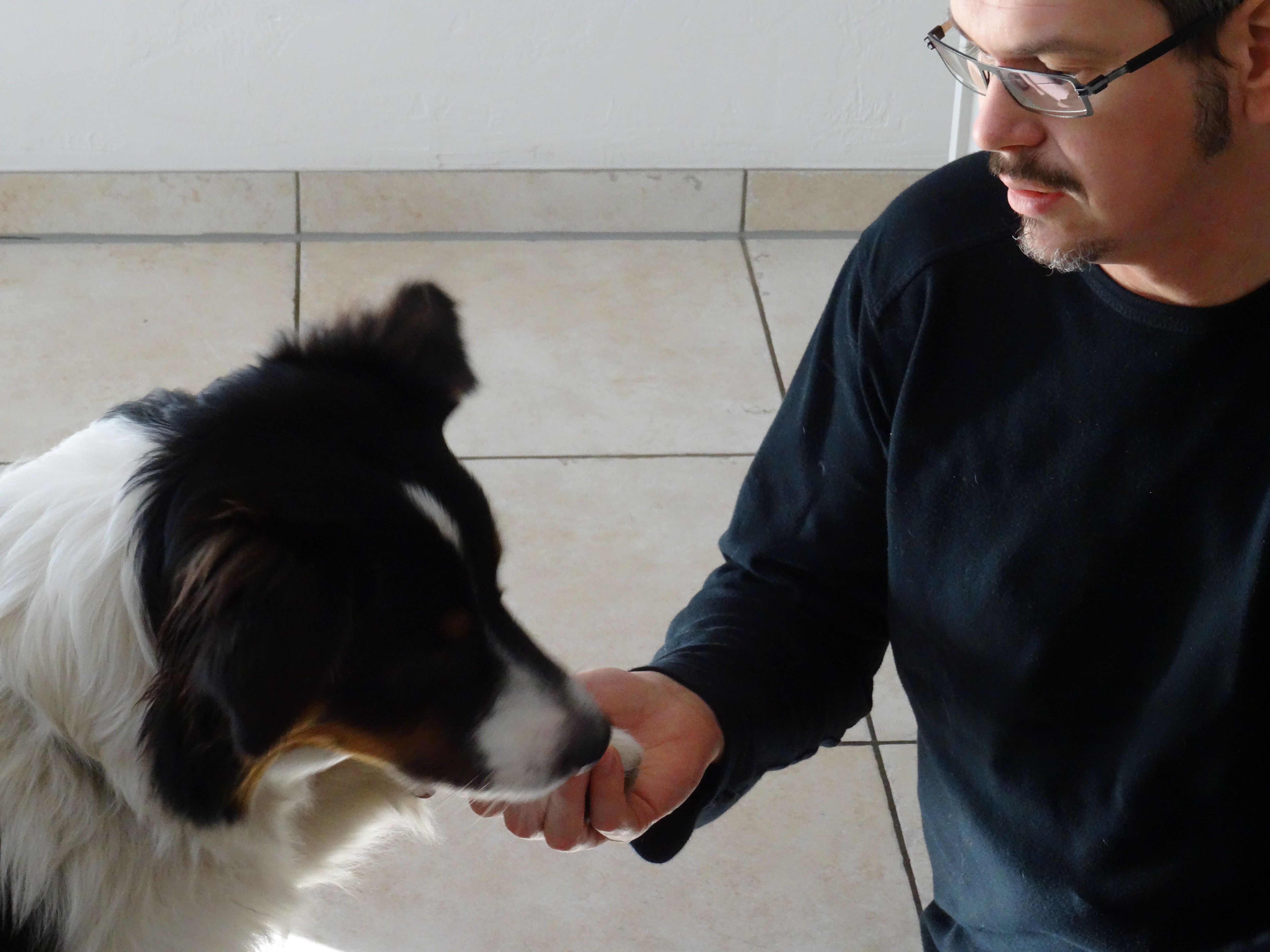 Jörn Sickelmann mit Hund